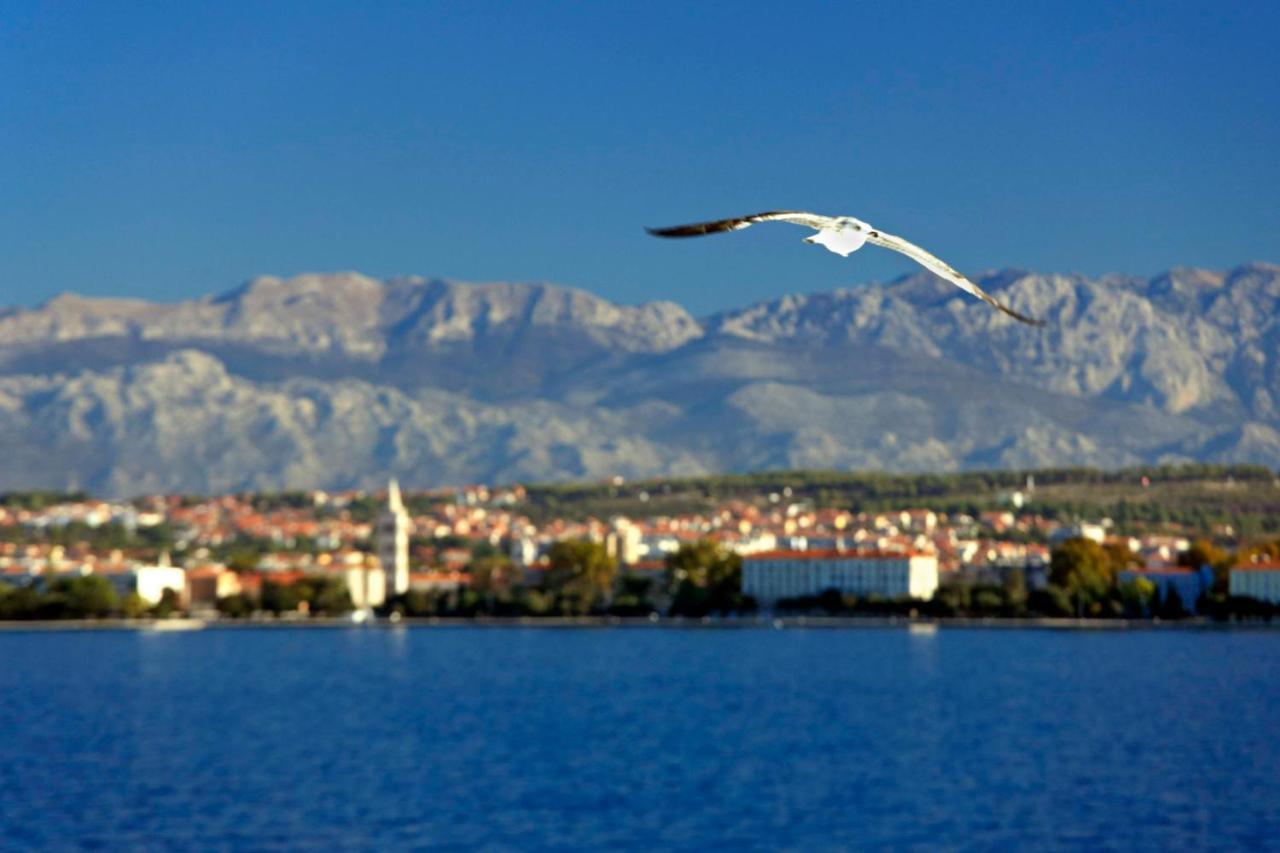 Apartment Kuki With Balcony Zadar